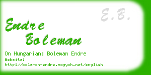 endre boleman business card